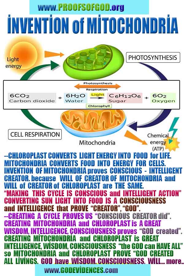 proofs of god, evidences of God       