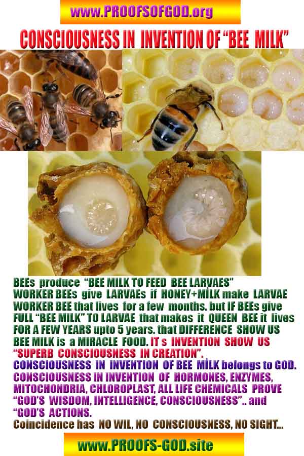 proofs of god, evidences of God  