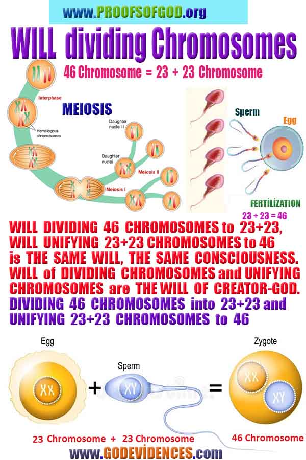 proofs of god, evidences of God       
