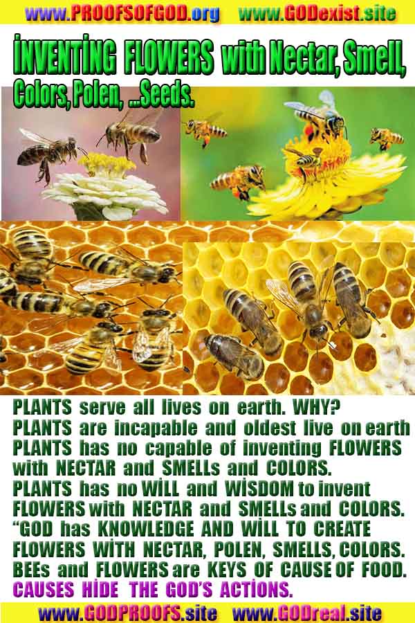 proofs, signs, evidences of God