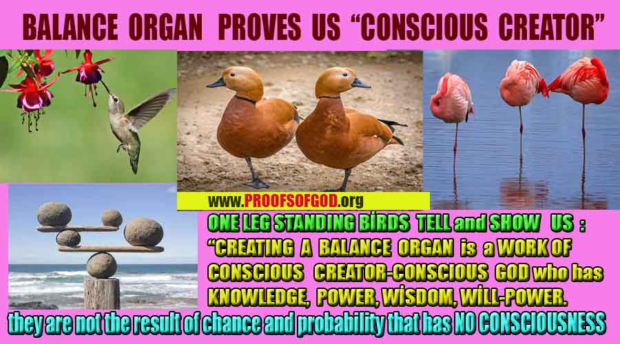 proofs of god, evidences of god  