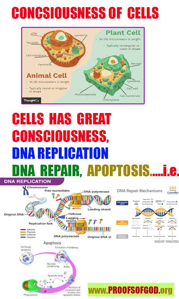 proofs of god, evidences of God       