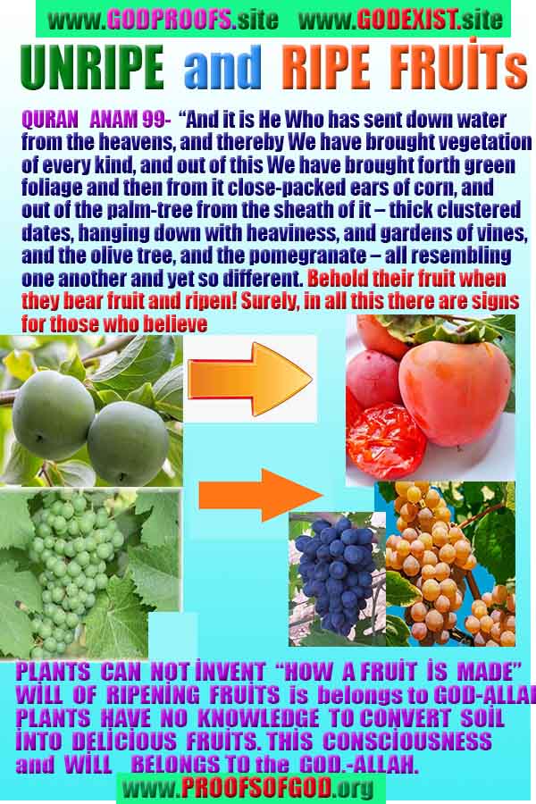 proofs of god, evidences of God scientific proof of God  