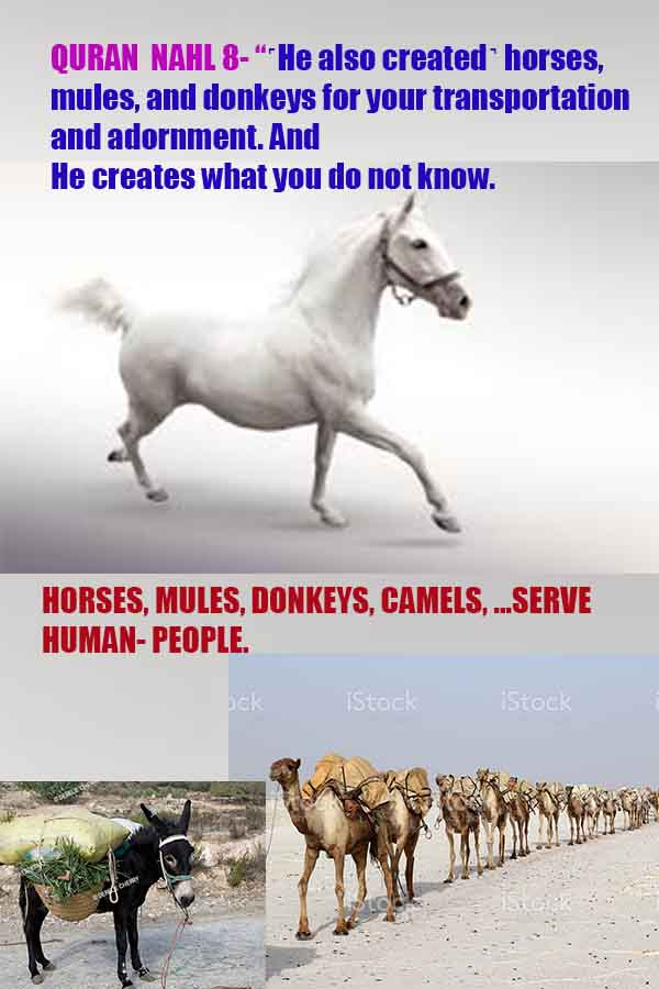 proofs of god, evidences of God scientific proof of God   