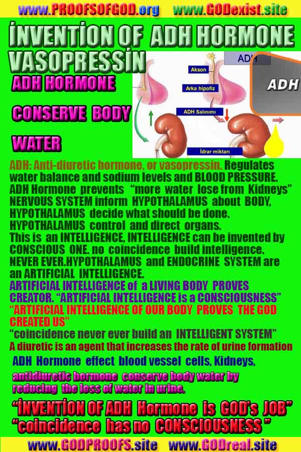 proofs of god, evidences of God       