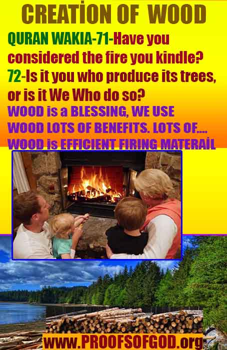 proofs of god, evidences of God       