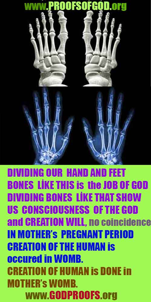 proofs of god, evidences of god  