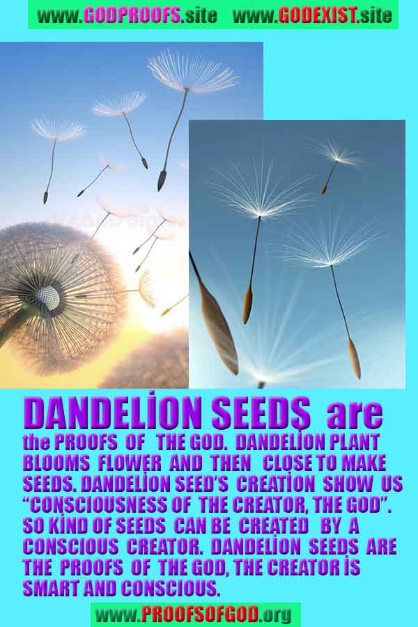 proofs of god, evidences of God       