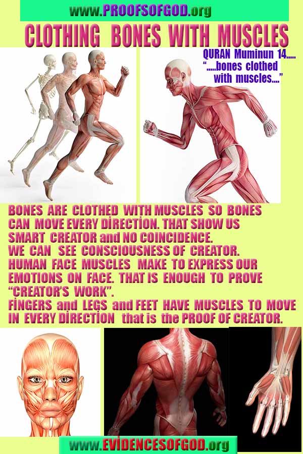 proofs of god, evidences of god  