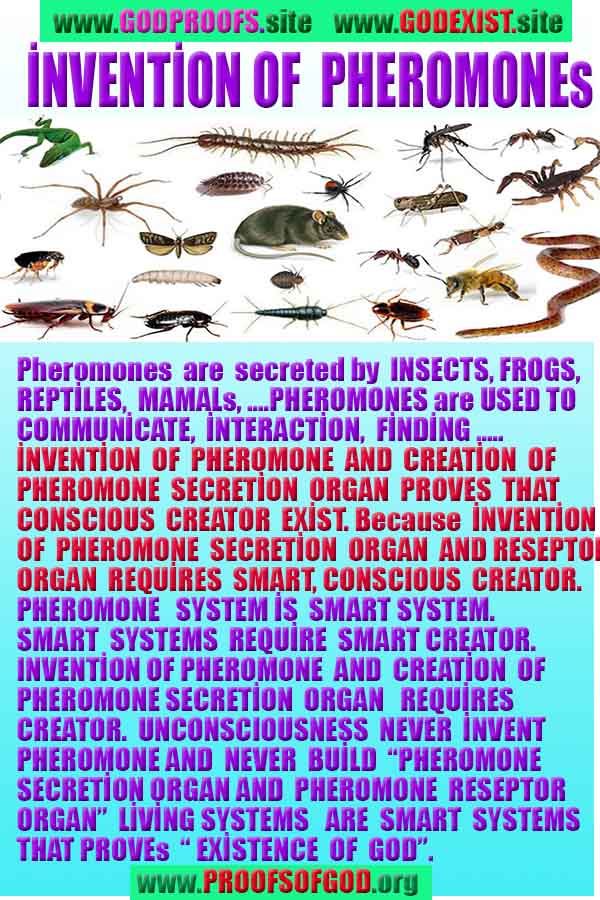 proofs of god, evidences of God       